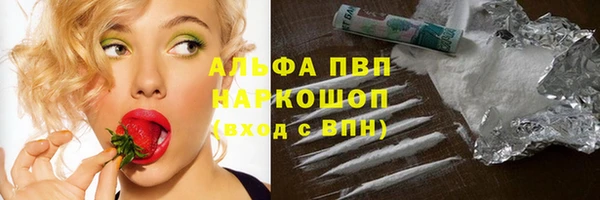 spice Абаза