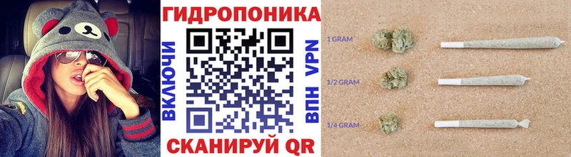 Бошки марихуана Amnesia  как найти закладки  Мостовской 